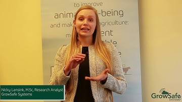 Understanding residual feed intake (RFI) – GrowSafe Systems®