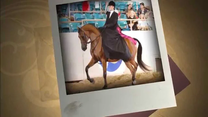 Horse Riding Lessons In Phoenix & Scottsdale, AZ