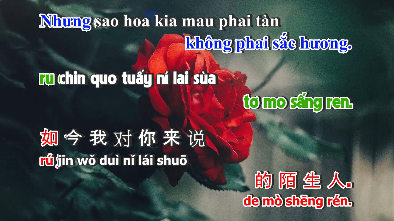 HOA VIỆT KARA | Karaoke Nụ Hồng Mong Manh Tone Nữ - Karaoke Nhạc Hoa Lời Việt Song Ngữ