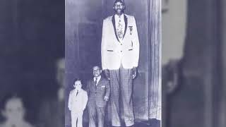 Celebrity O HOMEM QUE TEVE 2,46 METROS DE ALTURA!!! 😲😲😲 Wealth