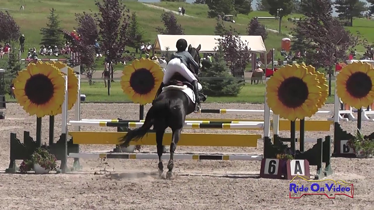 Morgan Roe 243S Morgan Roe on My Transit of Venus Training 3-Day Show Jumping ...