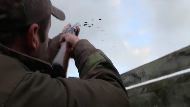 The Shooting Show – geese and grouse in Scotland PLUS the Anschütz 1770