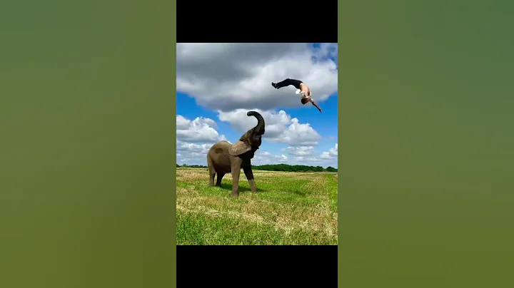 Elephant flip just enjoyed #respect #please_subscribe #shorts