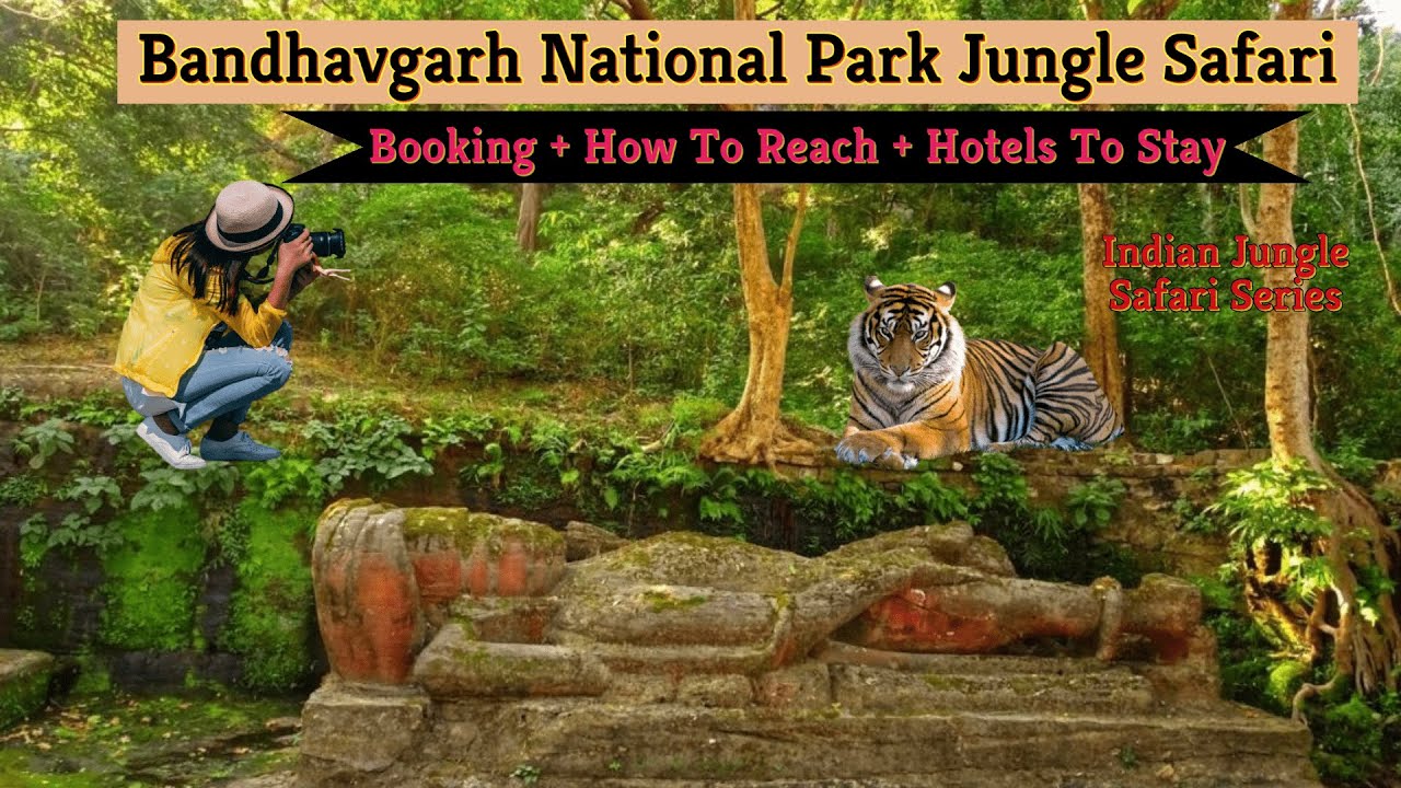 book bandhavgarh safari online