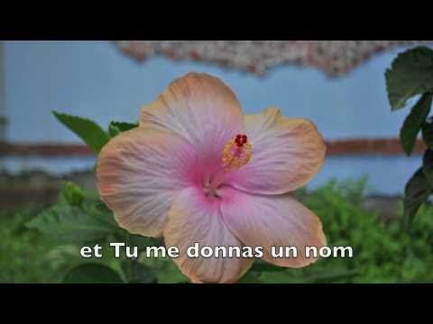 Daniel CALVETI - La nia de tus ojos avec paroles e...