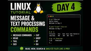 Linux Training Day 4 | cat, grep, head, tail, sed, df & du Commands Explained