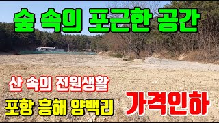 (가격인하) 포항 흥해읍 양백리 산 속에 숲으로 둘러 쌓인 전원주택부지 주말농장부지 포항부동산 토지매매