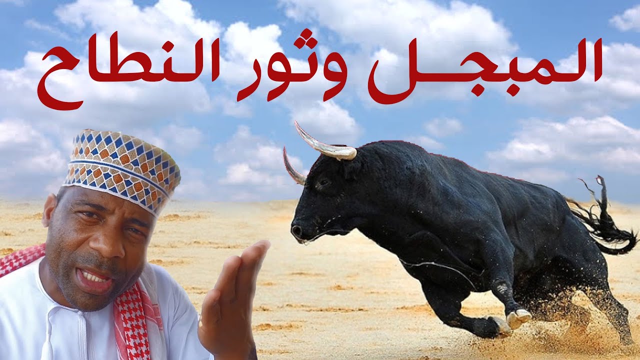 المبجل وثور النطاح