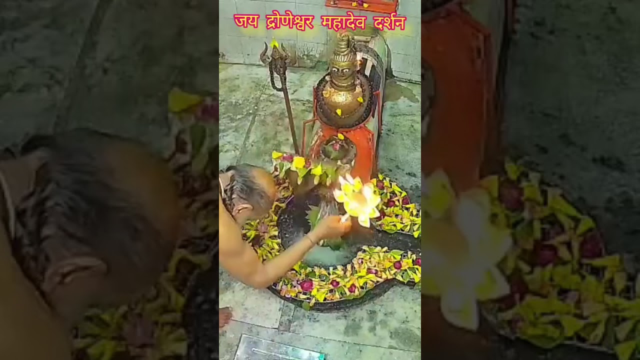 जय द्रोणेश्वर महादेव दर्शन #viralreels #shortsvideo #videovi