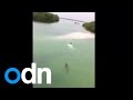 Shocking video: Massive crocodile chases swimmer in Mexico