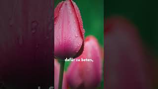 ZUHÖREN lernen 👂 – Tägliche Andacht von Joyce Meyer | 10.04.