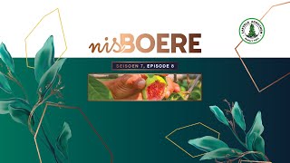 Nisboere 7 Episode 08