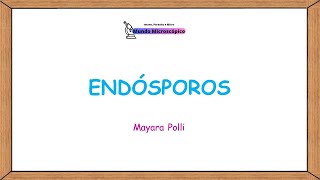 Bacterial Endospores | Structure and Function Bacterial Endospores | Structure and Function