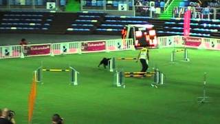 Kaj & Zsuzsa Veres on Agility World Championship 2011, Individual Jumping