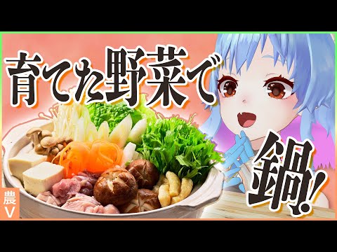 鍋の具材、種から。【農V】