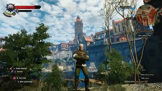 The Witcher 3 pathfinding bug