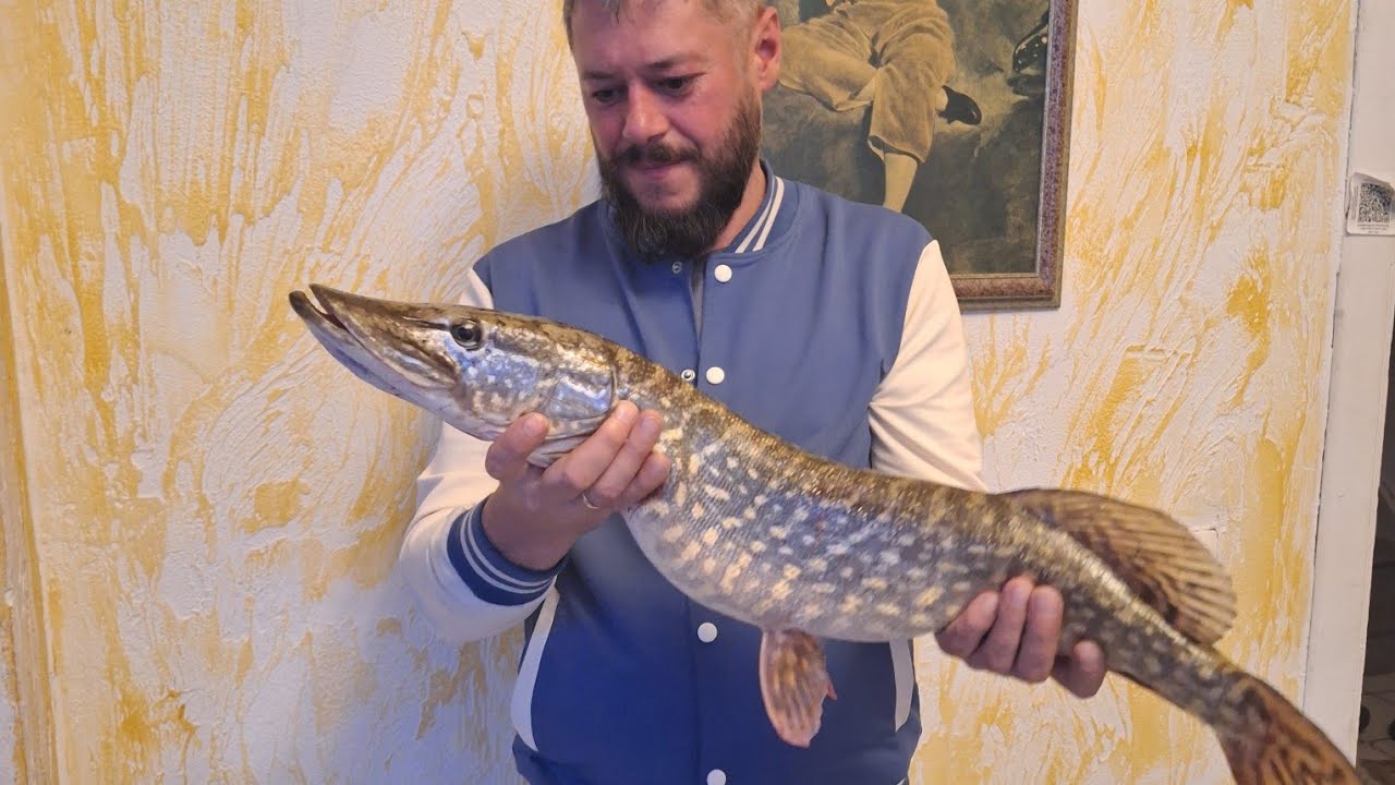 Поймали огромную щуку🙆‍♀️🙆‍♀️