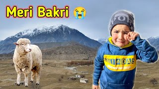 My Bakri Lost In The Mountains Shirazi Village Vlogs