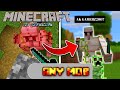 Minecraft! but I can convert in any mob [Part-1]
