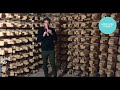 Reverberant vs  Anechoic chamber ENG subtitles 1