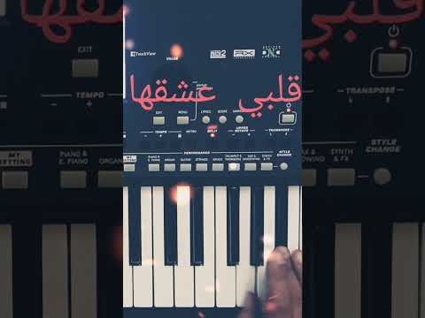 تعلم عزف قلبي عشقها راغب علامه سوريا قطر موسيقى لبنان اكسبلور ترند مصر عزف تعلم تونس