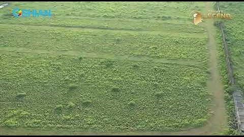 Oshian legend Near D.Mart Beltarodi  Nagpur.