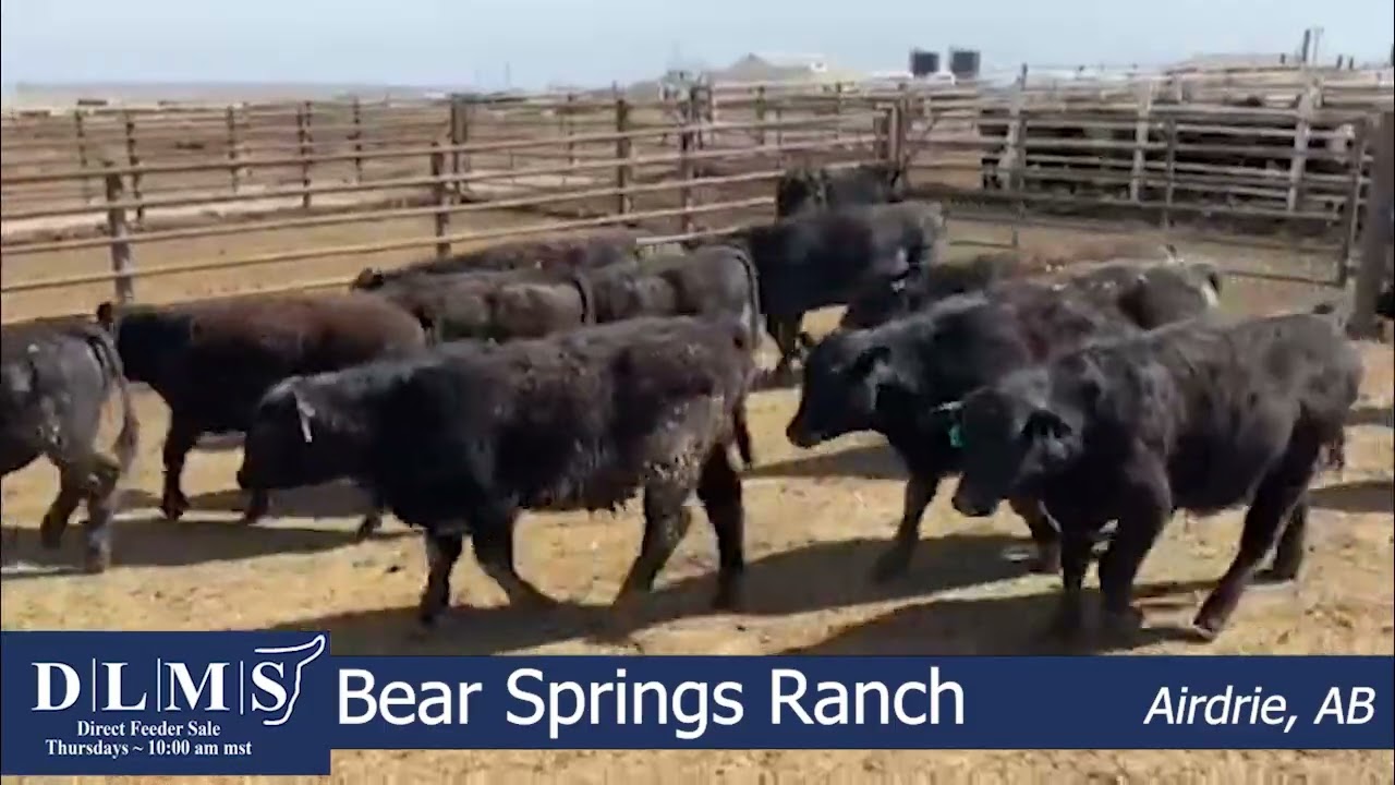 DLMS Direct - Bear Springs Ranch - 680 Blk