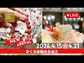 \花見はつづくよいつまでも/新着先取りライブ 2026/4/14