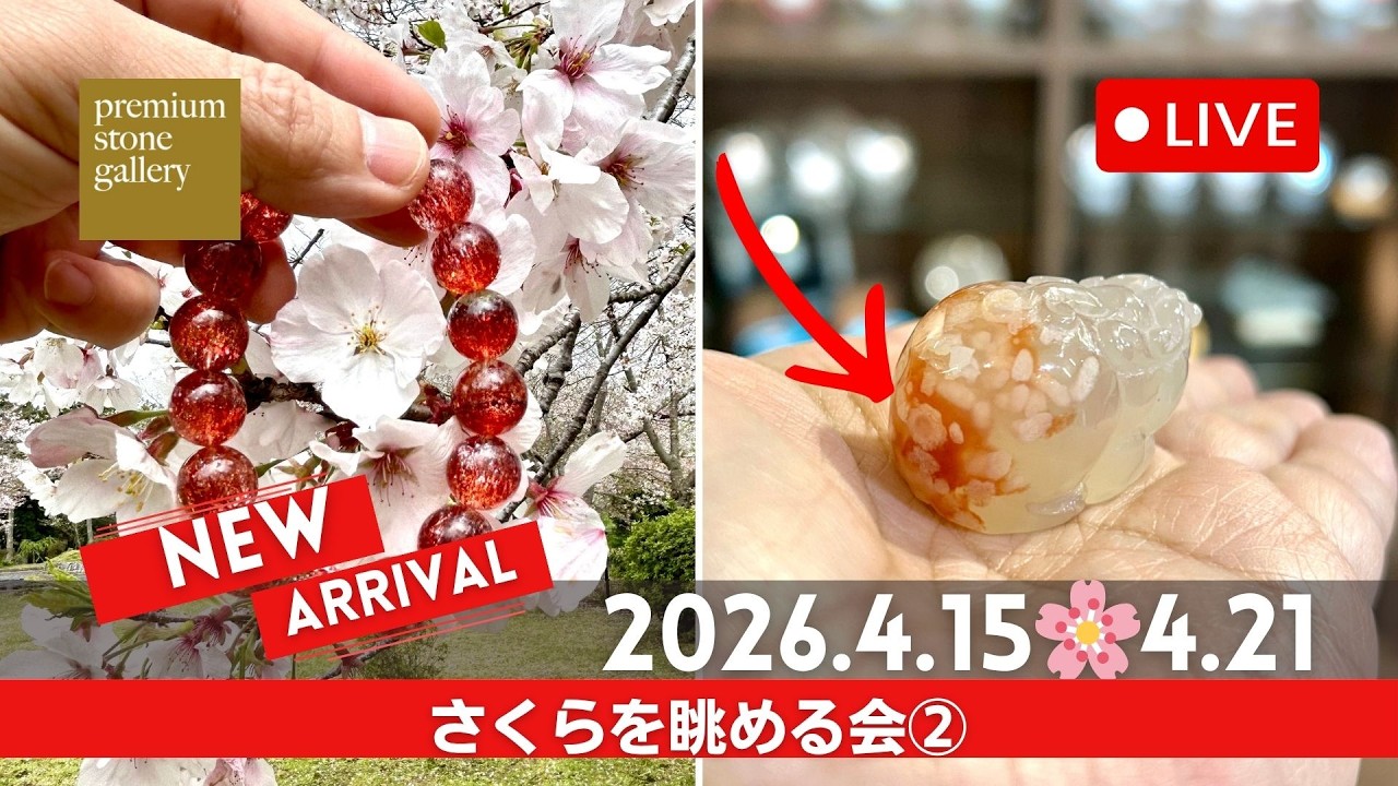 透明の中に紫が漂うアメジスト｜4月20日新着 | premium stone gallery