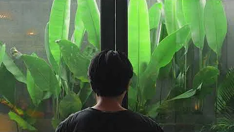 Aleny Vila - A Private Oasis Nestled in Bustling Seminyak Bali Island