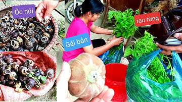 Ốc núi Rau rừng và Gái Bản Thác Mu