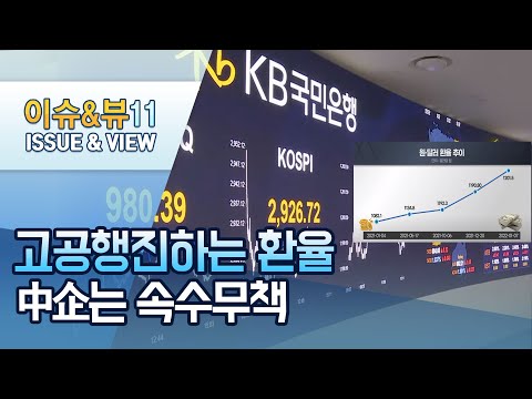 연초부터 <strong>1200원</strong> 뚫은 환율…中企는 &amp;#39;속수무책&amp;#39; / 머니투데이방송 (뉴스)