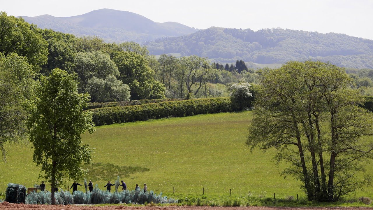 ‘It’s not inclusion it’s embarrassment’: Outrage over claims the countryside is ‘too White’