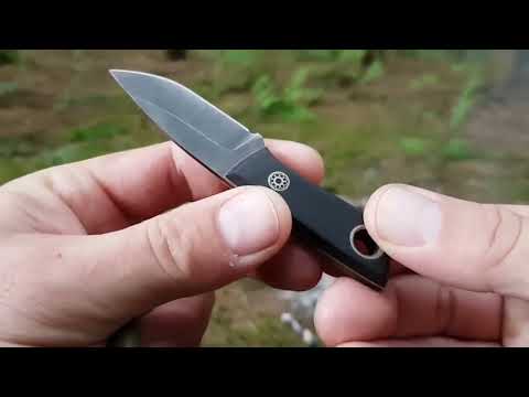 MORE WILDCAMPING!