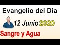 Evangelio Del Dia de Hoy - Viernes 12 Junio 2020- Si Tu Ojo Es - Sangre y Agua