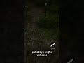 cannibals aatck us and catch me nobody help me 😭😭 (son of the forest ) part #3