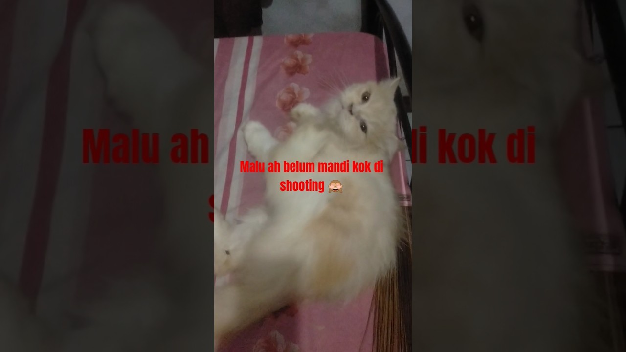 malu ah belum mandi kok di shooting 