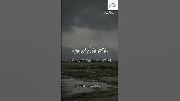 AL Quran|Surah Al Anam|سورة الأنعام  #youtube_for_you_page #youtube #al_quran #quran_translation