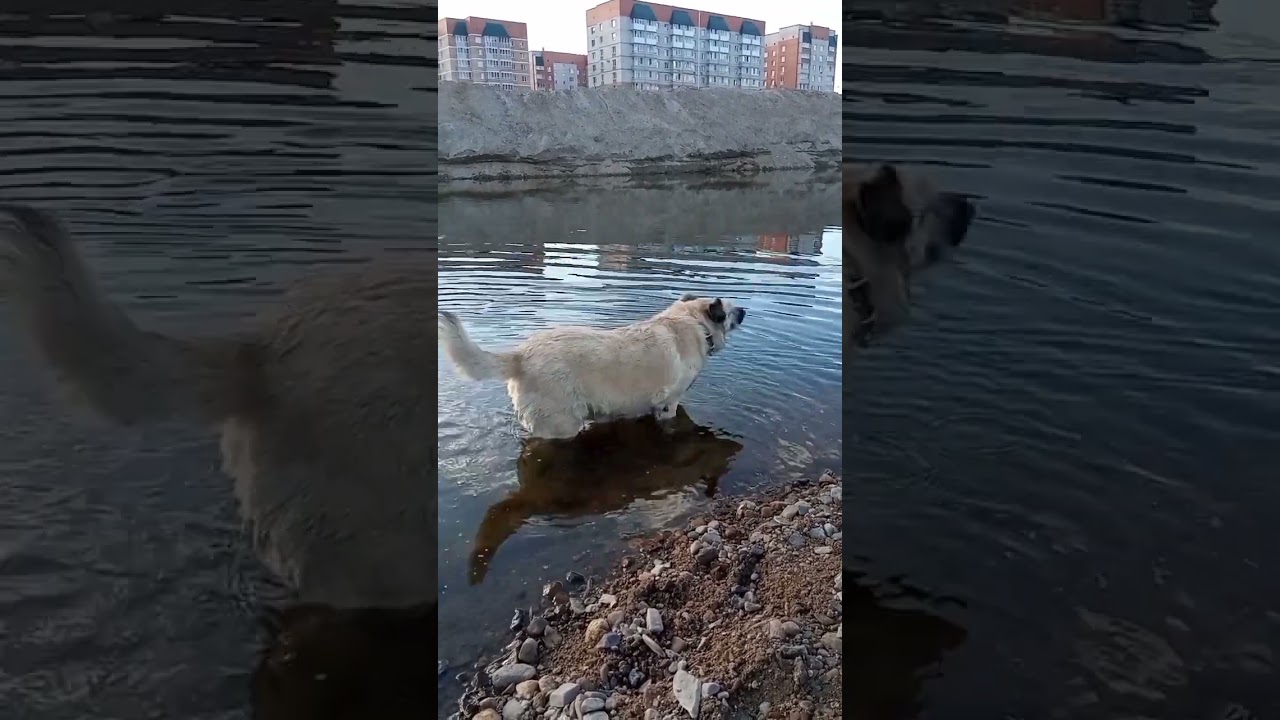 #дискотека90