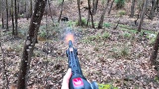 Avcı iki yaban domuzunu aynı yerde avlıyor / Wild Boar hunting.