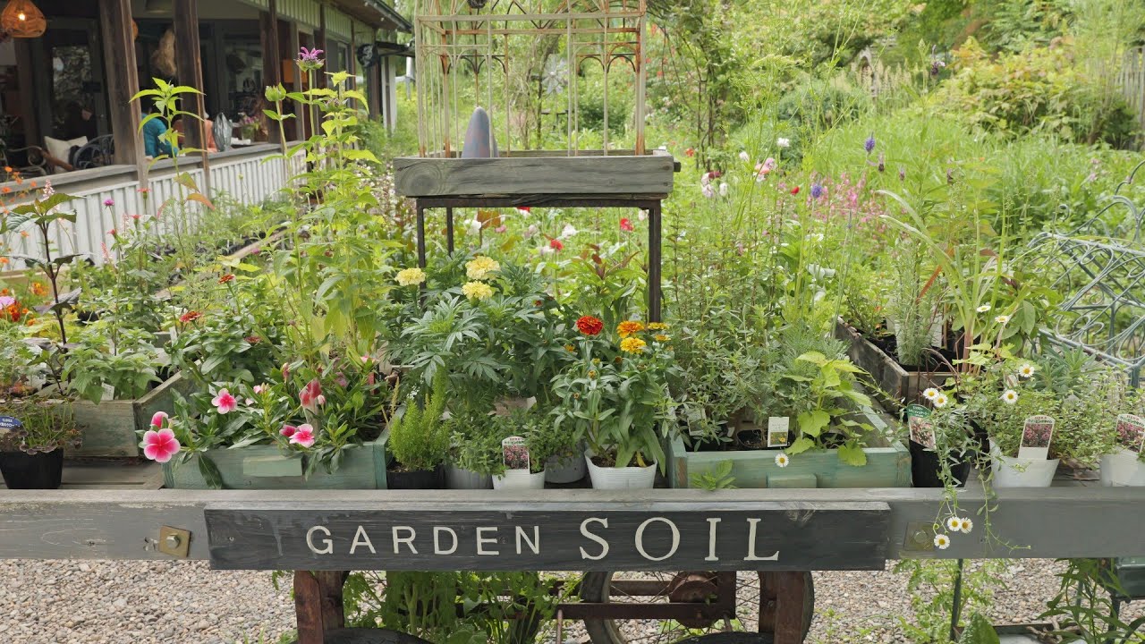 ガーデンソイル　2025.06.01　宿根草のナチュラルガーデン　長野県須坂市