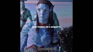 Sorry For The Quality Avatar Edit Bad Quality Edit Suppose To To Be Bad