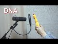(★TRENDING) This Rubber Chicken Version of BTS DNA Is Surprisingly Good And Very Addictive