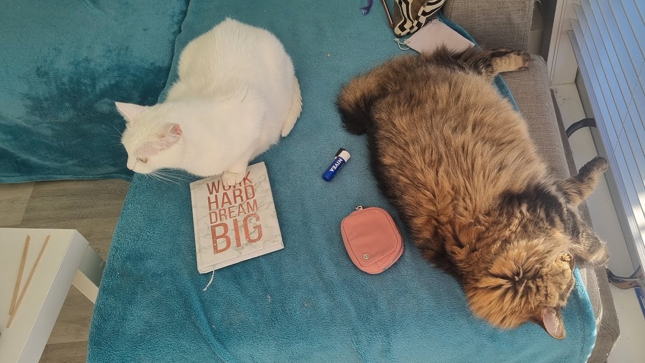 Алла Канада🇨🇦 в прямом эфире!Варю суп!