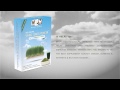 Wheatgrass Powder Organic Health Benefits Buy Online India