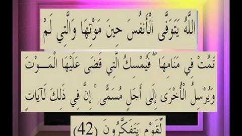 القرآن الكريم سورة الزمر الاية 42