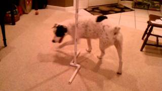 Axel Learning Around for Flyball