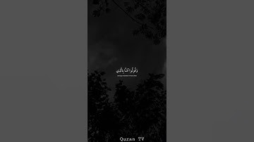 هدوء💜#ارح_سمعك #القارئ #عبدالرحمن_مسعد #ارح_قلبك #القرآن_الكريم #الله #راحة_نفسية #اكسبلور #لايك
