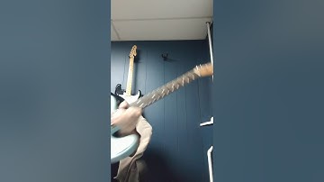 TUSQ STRING TREE.