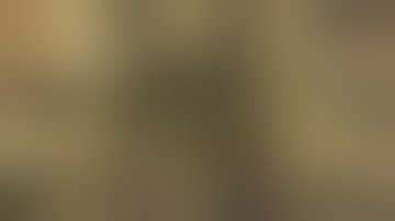 Aesthetics of World at War.